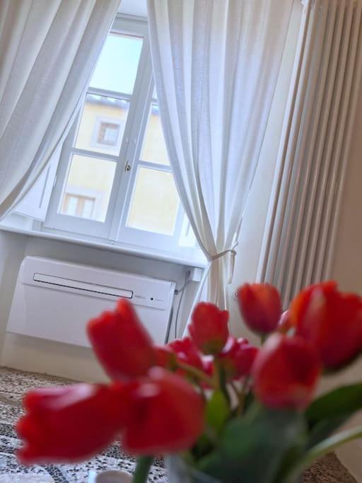 Il Canto De' Cenci Apartment Arezzo Exterior photo